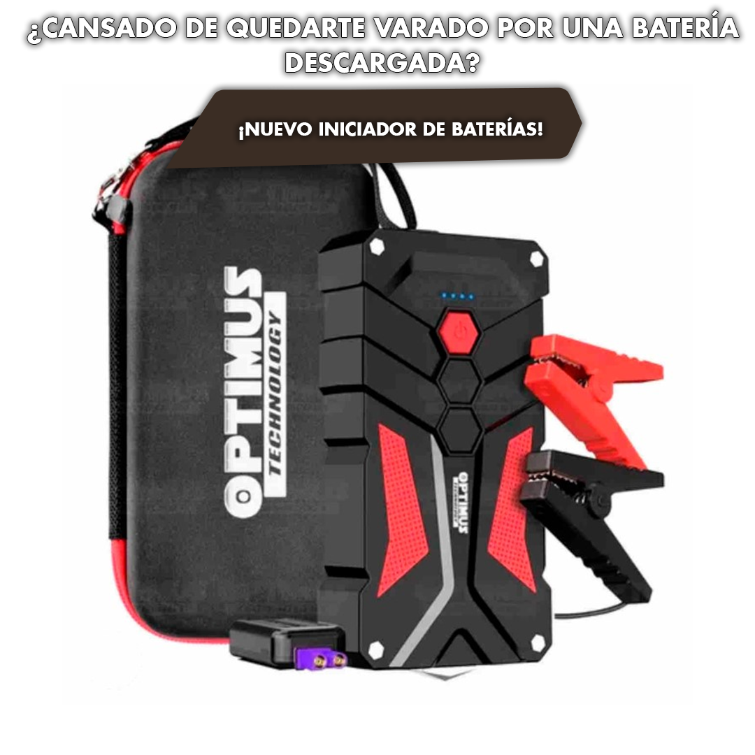 CARGADOR DE BATERIA PARA CARRO